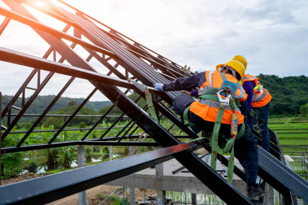 Best Sealant for Roof  in Baldn, WI